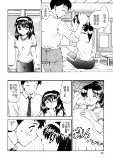 [Hiryuu Ran] SISTER WORK [Chinese] [貪狼閣] - page 25