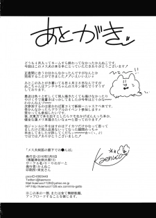 (Reitaisai 13) [Ririo Gatto (Kaenuco)] Mesuinu Junko no Rouka de Osanpo (Touhou Project) - page 25
