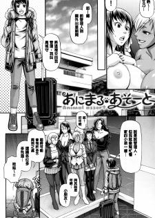 [Chiba Toshirou] Animal Assort | 痴女淫獸齊聚一堂 [Chinese] - page 13