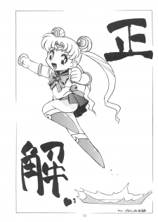 (C60) [Group 601 (Various)] Kousagi Hotaru-hime (Bishoujo Senshi Sailor Moon) - page 19