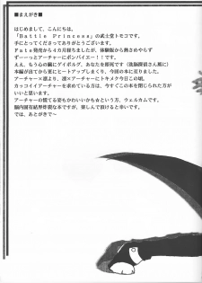 (Mimiket 10) [Battle Princess (Bushidou Tomoko, FNI)] Houseki Hime to Akai Kishi (Fate/stay night) - page 4
