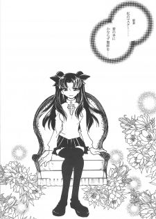 (Mimiket 10) [Battle Princess (Bushidou Tomoko, FNI)] Houseki Hime to Akai Kishi (Fate/stay night) - page 23