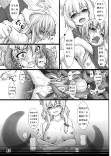 (Reitaisai 10) [Sora Osen Nantai Neko (Various)] CENSORED II (Touhou Project) [Chinese] [诱骗者迪卡伊个人汉化] - page 25