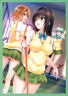 Harem Gold (To LOVE-RU) - page 32