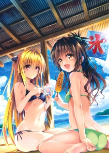 Harem Gold (To LOVE-RU) - page 12
