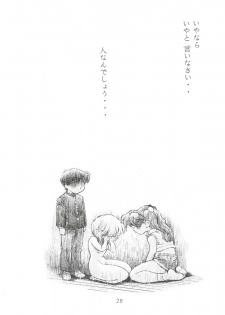 (C51) [Studio Parfe (Dohi Kensuke)] Evan 26.5 Zero (Neon Genesis Evangelion) - page 27