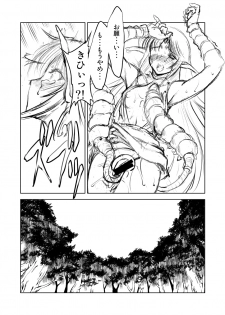 [FAKESTAR (Miharu)] D-Chuu (Record of Lodoss War) - page 13