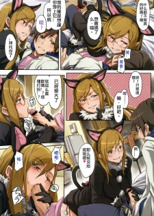 [Minato Fumi] Konna Koneko Irukana!? (COMIC Megastore 2009-05) [Chinese] - page 2