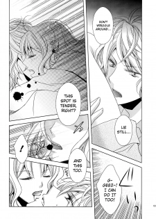 (C86) [GH (Kiri)] How to Blood (DIABOLIK LOVERS) [English] [biribiri] - page 18