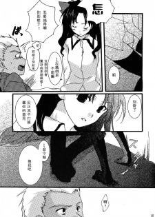 (C69) [AquaDrop (Mikami Mika)] Akahon (Fate/stay night) [Chinese] - page 15