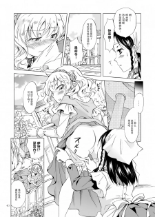 [peachpulsar (Mira)] Hime-sama to Dorei-chan [Chinese] [脸肿汉化组] [Digital] - page 40