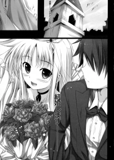 (C88) [IV VA SHIN (Mikuni Mizuki)] Home Sweet Home ~Soushuuhen~ (Mahou Shoujo Lyrical Nanoha) - page 4