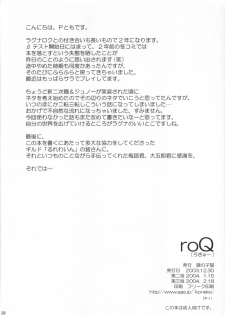 (C65) [Tonari no Koneko (PTomo)] roQ (Ragnarok Online) - page 29