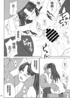 (C88) [MTSP (Jin)] Tohsaka-ke no Kakei Jijou 1 (Tosaka-ke no Kakei Jijou Soushuuhen 1) (Fate/stay night) [Chinese] [yang個人漢化] - page 17