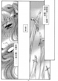 (CR35) [Koubai Gekka (Kouno Mizuho)] SECRET WINDOW (Fate/stay night) [Chinese] - page 23