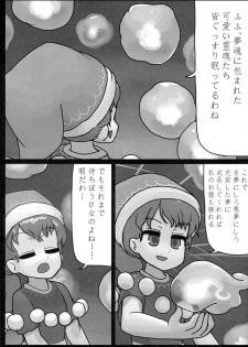 (Reitaisai 13) [Ninniku Batake (Ninniku)] Sagishi (Touhou Project) - page 3