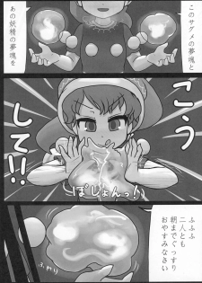(Reitaisai 13) [Ninniku Batake (Ninniku)] Sagishi (Touhou Project) - page 5