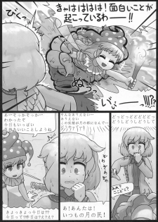 (Reitaisai 13) [Ninniku Batake (Ninniku)] Sagishi (Touhou Project) - page 7