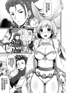 (C90) [Himeya (Abe Inori)] Hatsujou Sage to Entei ga Sukebe suru (Granblue Fantasy) [Chinese] [空気系☆漢化] - page 3