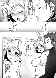 (C90) [Himeya (Abe Inori)] Hatsujou Sage to Entei ga Sukebe suru (Granblue Fantasy) [Chinese] [空気系☆漢化] - page 24