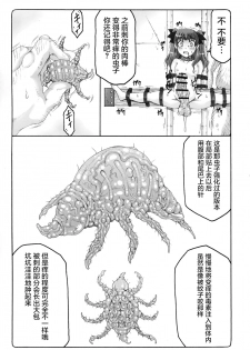 (C90) [Abarenbow Tengu (Izumi Yuujiro)] Kotori 13 (Fate/stay Night) [Chinese] [屏幕髒了漢化組] - page 14