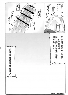 (C90) [Abarenbow Tengu (Izumi Yuujiro)] Kotori 13 (Fate/stay Night) [Chinese] [屏幕髒了漢化組] - page 27