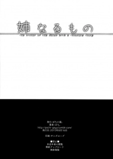 (C88) [Pochi-Goya. (Pochi.)] Ane Naru Mono (Ane Naru Mono) [Chinese][無毒漢化组] - page 31