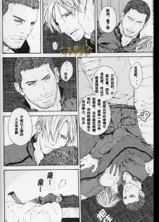 (C84) [clr, 12.5 (Akizou, Mizuki)] Answer | 答复 (Resident Evil) [Chinese] - page 19