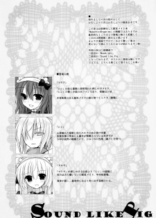 (C81) [Neuromancer. (Kannon Ouji)] sound like pig - page 4