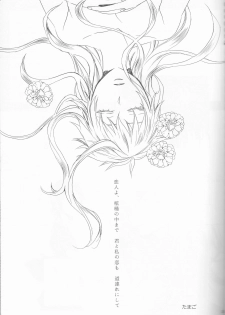(C82) [Shouga Udon, Kareha (Tamago, Koudzuki Shinobu)] Marshmallow chocolate (Bleach) - page 23