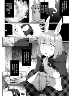 [majoccoid] Rabbit Hole (COMIC Unreal 2016-02 Vol. 59) [Chinese] [最愛路易絲澪漢化組] - page 2