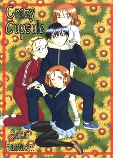 (C56) [Kohakutei (Sakai Hamachi)] Crazy Cupsule (Kare Kano) - page 2