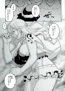 (C90) [ACID-HEAD (Murata.)] Nami no Ura Koukai Nisshi 11 (One Piece) - page 2