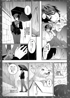 (C90) [KINOKONOMI (konomi)] Nyancology 5 -Usami-san to Himitsu no Misshitsu- - page 22