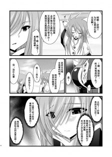 [valssu (Charu)] Melon ga Chou Shindou! R2 (Tales of the Abyss) [Chinese] [流星汉化] [Digital] - page 40