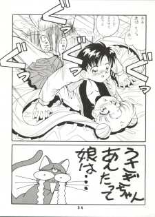 (C43) [ART=THEATER (Fred Kelly)] M.F.H.H.3 (Bishoujo Senshi Sailor Moon) - page 34