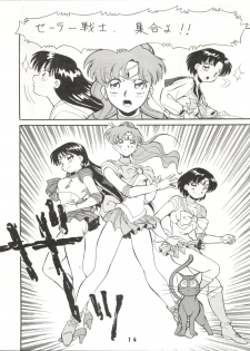 (C43) [ART=THEATER (Fred Kelly)] M.F.H.H.3 (Bishoujo Senshi Sailor Moon) - page 14