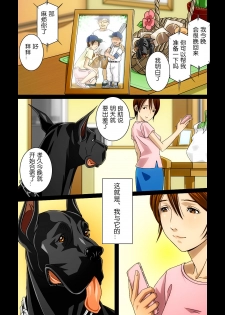 [Bonjin-do] “Wonderful Life” ~Shufu to “Aiken” no Hisoyaka na Gogo~[chinese] [翠星石汉化] - page 42