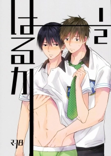 (C87) [Karaage Lemon (Ototo)] Haruka 1/2 (Free!) - page 1