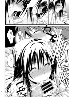 (C88) [Hibi Rakuraku (Aoki Kanji)] Watashi renchi yabutte suteru. (To LOVE-Ru) - page 24