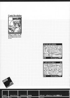 (SC24) [HGH (HG Chagawa)] Idea NOTE #04 (Street Fighter) - page 3