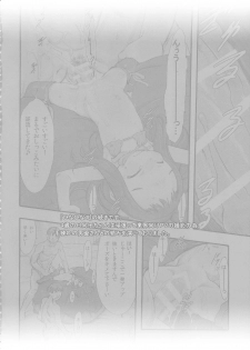 (C89) [P.A.Project (Teruki Kuma)] Hina Hina 2 - page 4