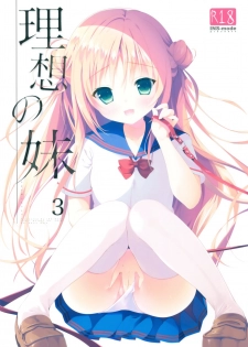 (C90) [INS-mode (Amanagi Seiji)] Risou no Imouto 3 - page 1