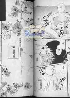 [Hoshiai Hilo] Hoshi no Furu Oto | 星星降臨的聲音 [Chinese] - page 28