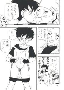 (C45) [Chirigami Goya, Fusuma Goten (Shouji Haruzo)] XX (Dragon Ball Z) - page 30
