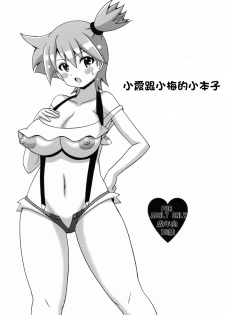 (C82) [Haguruman (Koutarosu)] Kasumi to Mei no Hon (Pokemon) [Chinese] - page 1