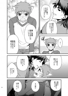 [TEKETO (Sanada)] Nyan  Nyan Network (Fate/stay night) [Digital] - page 16