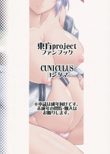 (C89) [CUNICULUS (Yositama)] Ikumitsu (Touhou Project) [English] {doujins.com} - page 26