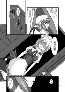 (C76) [Endless Requiem (yasha)] Midare Gensou -Remilia hen- (Touhou Project) [Chinese] [随手汉了个化] - page 22