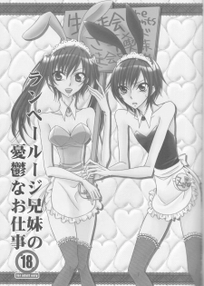 [prymary (Takase Hiroe)] Lamperouge Kyoudai no Yuuutsu na Oshigoto (Code Geass: Lelouch of the Rebellion) - page 3